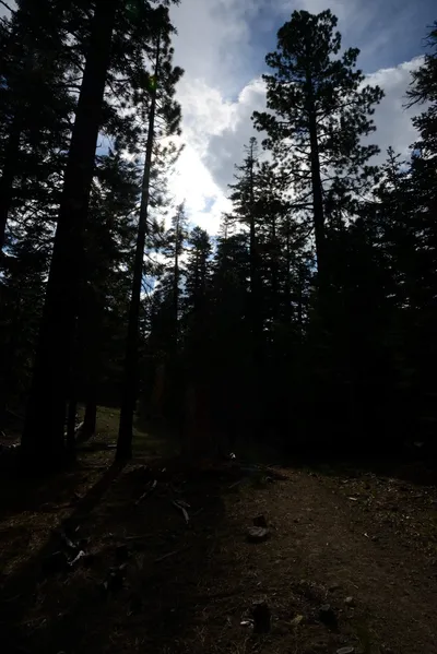 DSC_3256 (Large).JPG